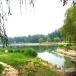 南宫棋下平台的用户注册与登录流程 40k529rk