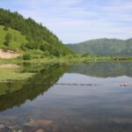 南宫旗下PG的价格策略与市场定位研究 wqxve